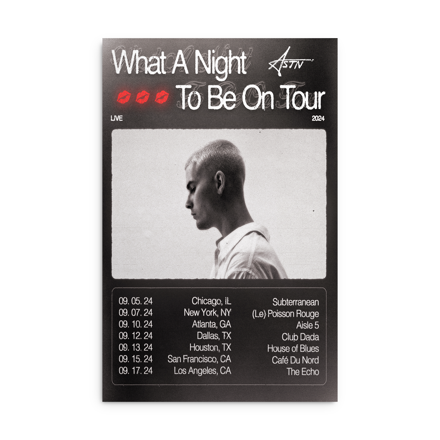 What A Night Tour Poster